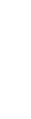 vector